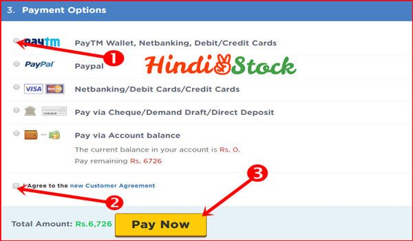 hostgator hosting payment option